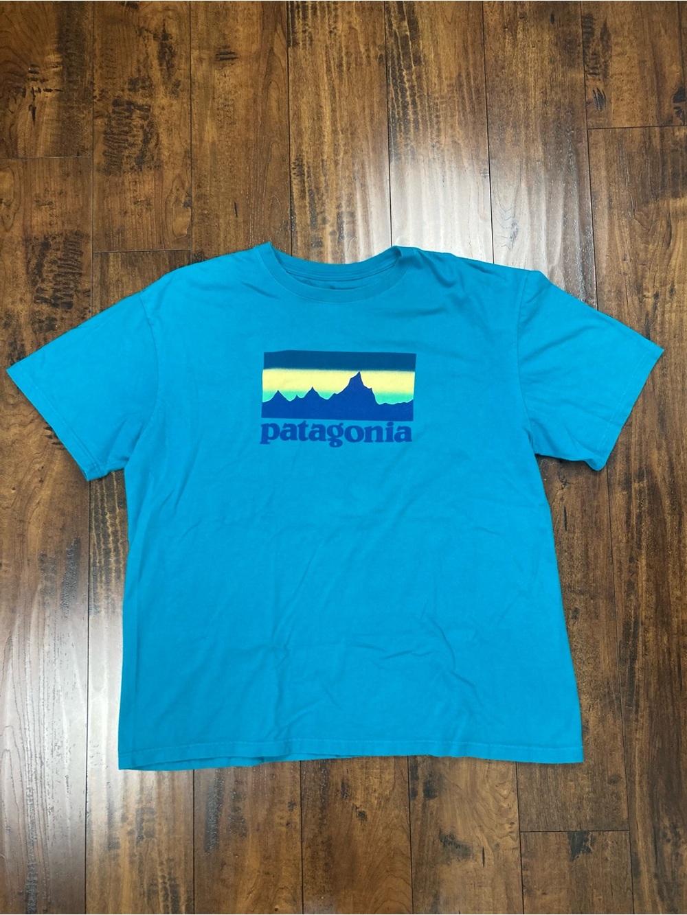 PATAGONIA Men’s T-Shirt Blue Mountains Logo 100% Organic Cotton Size XL